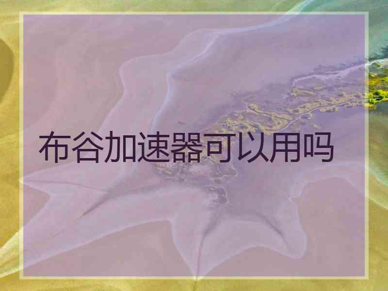 布谷加速器可以用吗