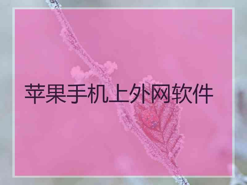 苹果手机上外网软件