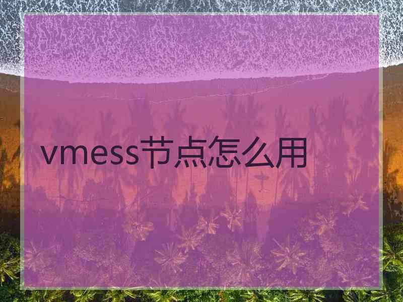 vmess节点怎么用