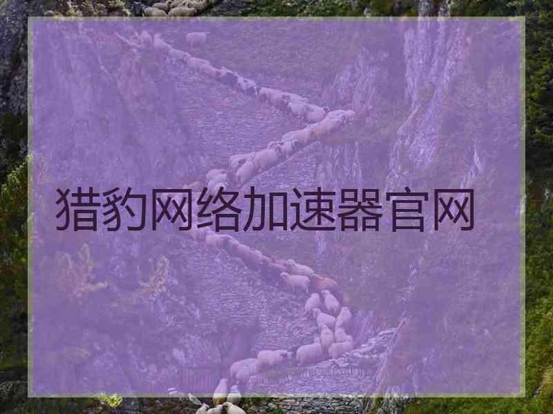 猎豹网络加速器官网