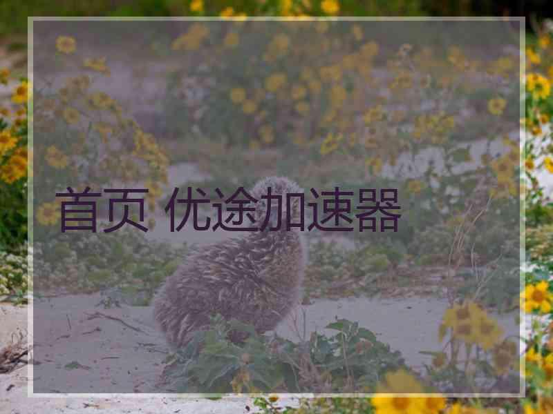 首页 优途加速器