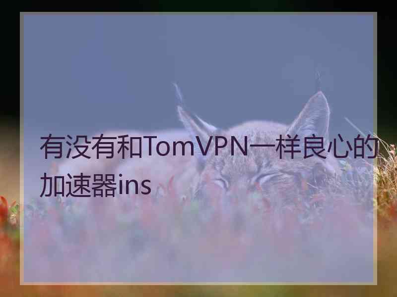 有没有和TomVPN一样良心的加速器ins