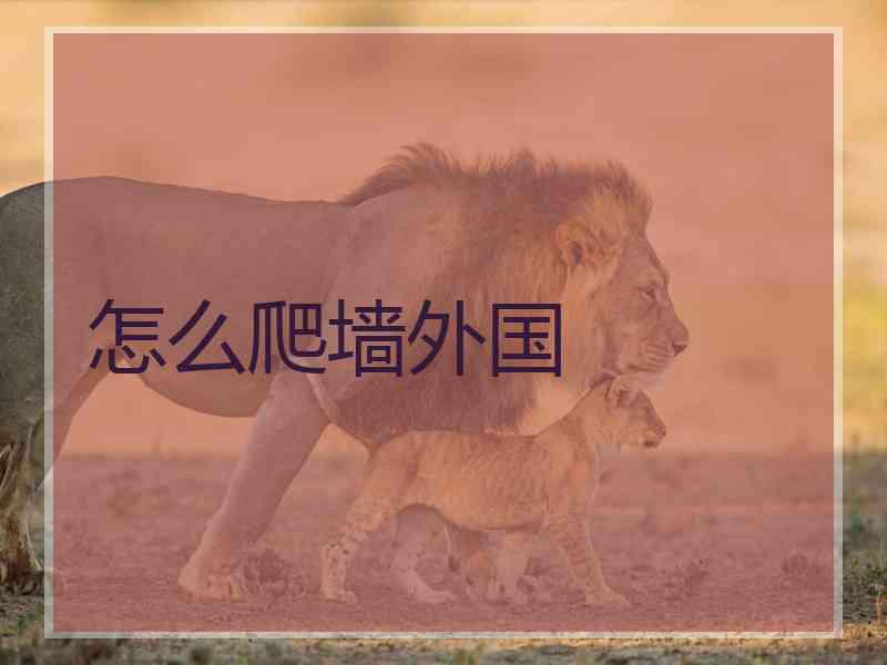 怎么爬墙外国
