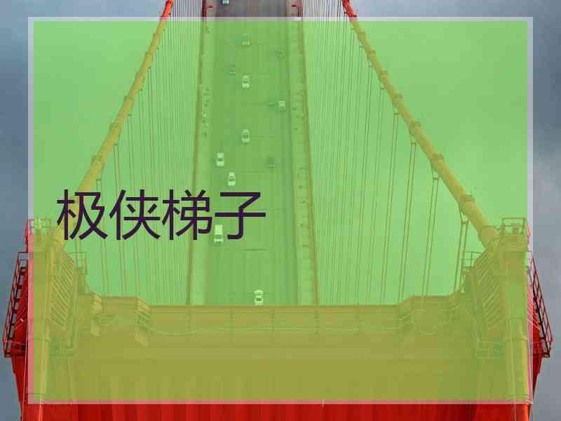 极侠梯子