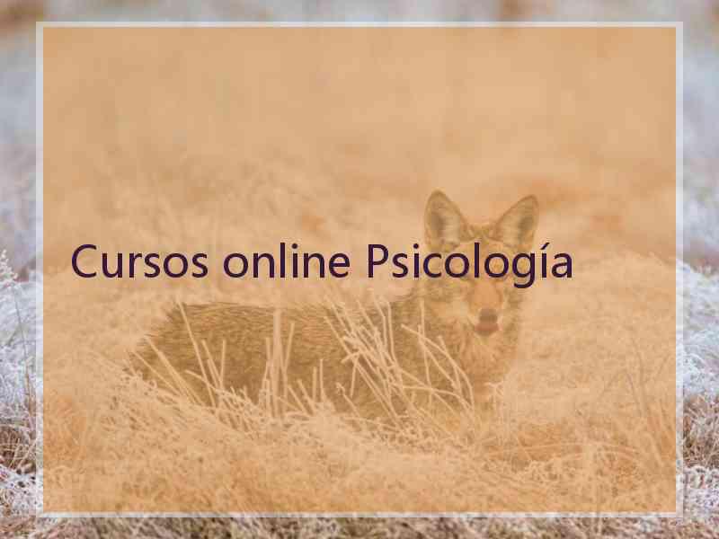 Cursos online Psicología