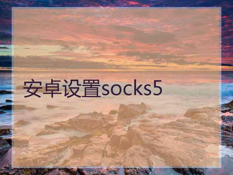 安卓设置socks5