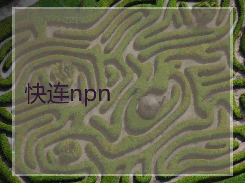 快连npn