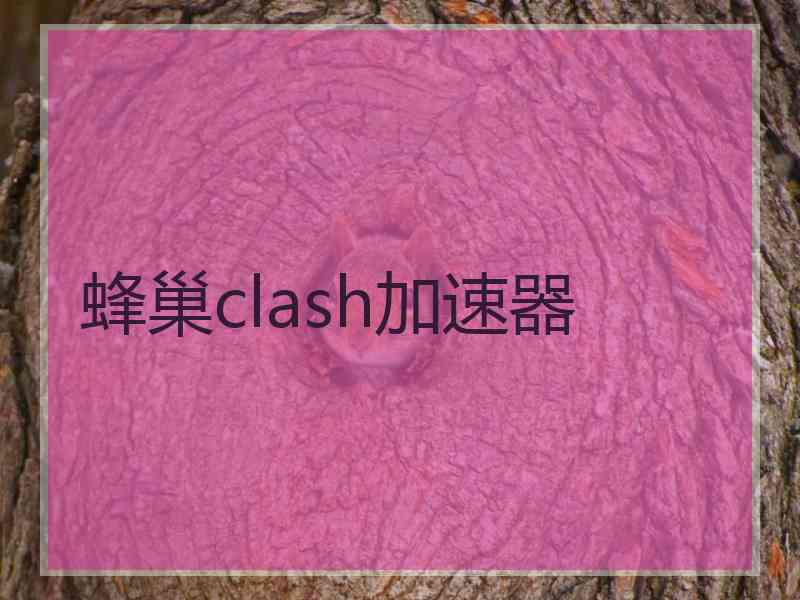 蜂巢clash加速器