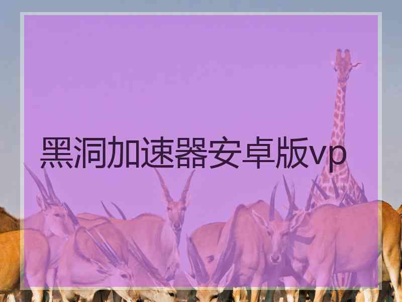 黑洞加速器安卓版vp
