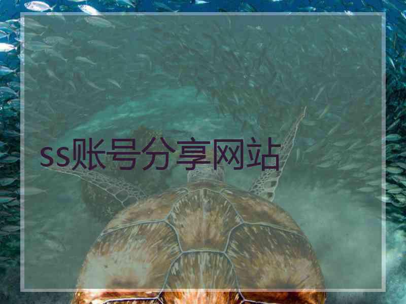 ss账号分享网站