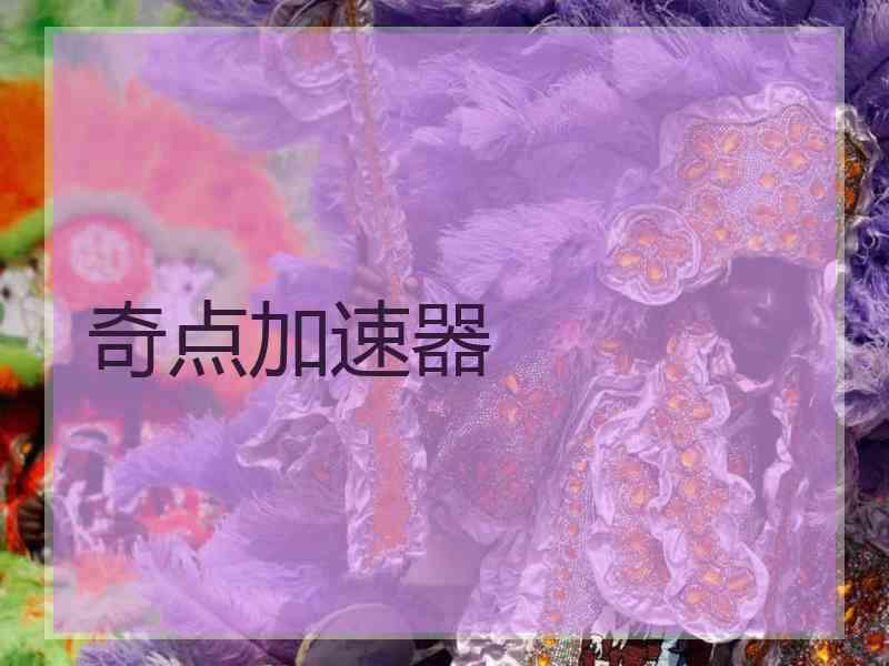 奇点加速器