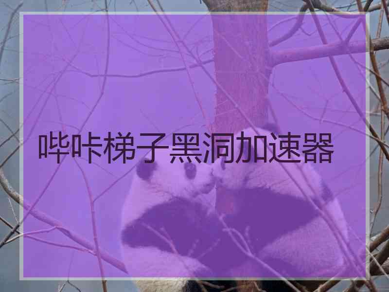 哔咔梯子黑洞加速器