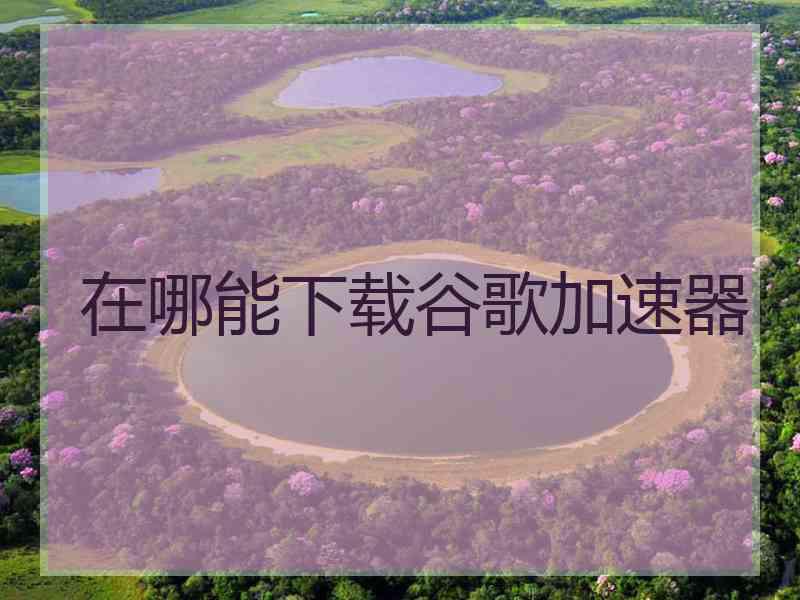 在哪能下载谷歌加速器