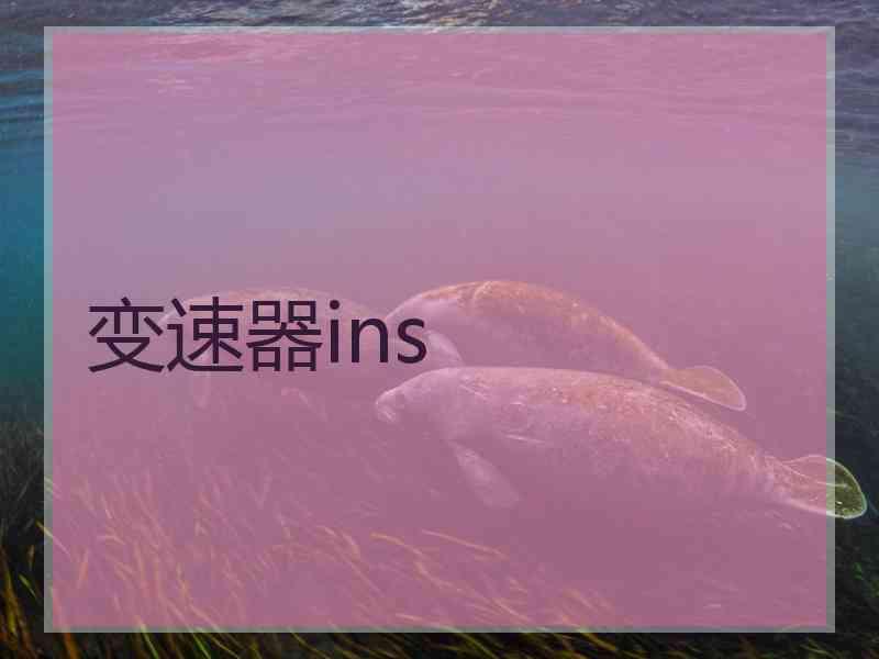 变速器ins