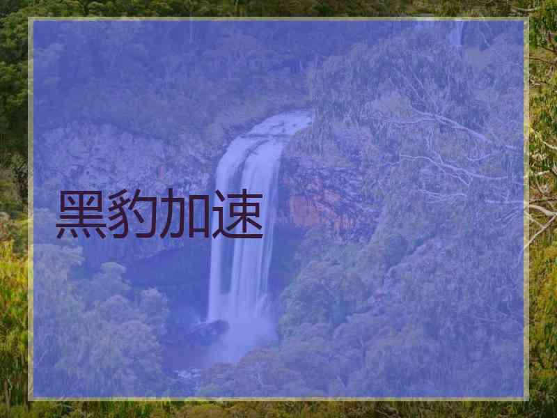 黑豹加速