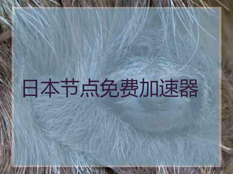 日本节点免费加速器