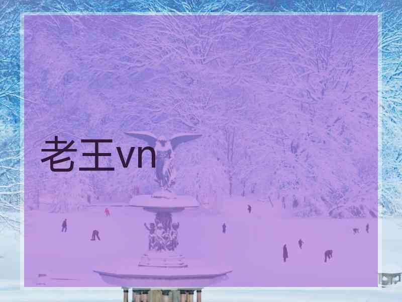 老王vn