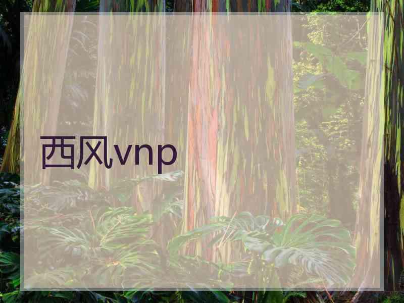 西风vnp