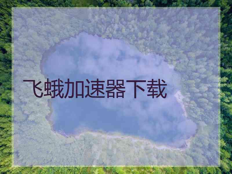 飞蛾加速器下载