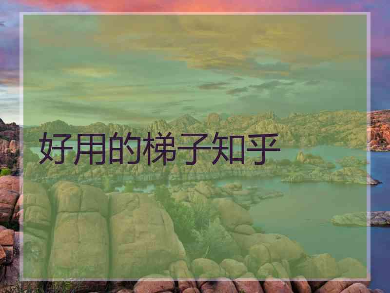 好用的梯子知乎