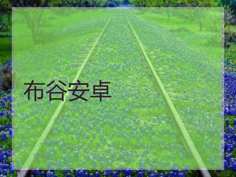 布谷安卓