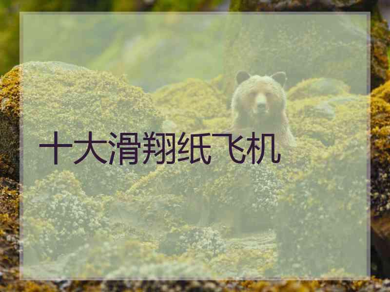 十大滑翔纸飞机