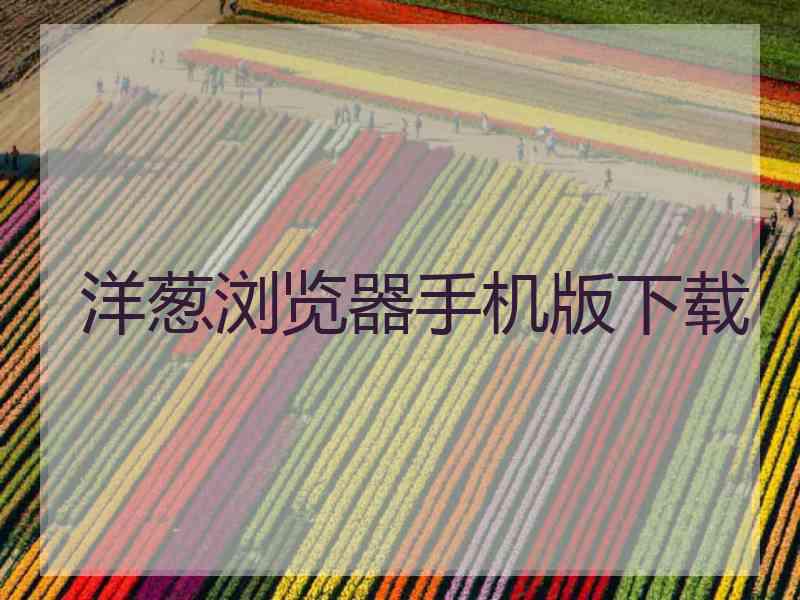 洋葱浏览器手机版下载