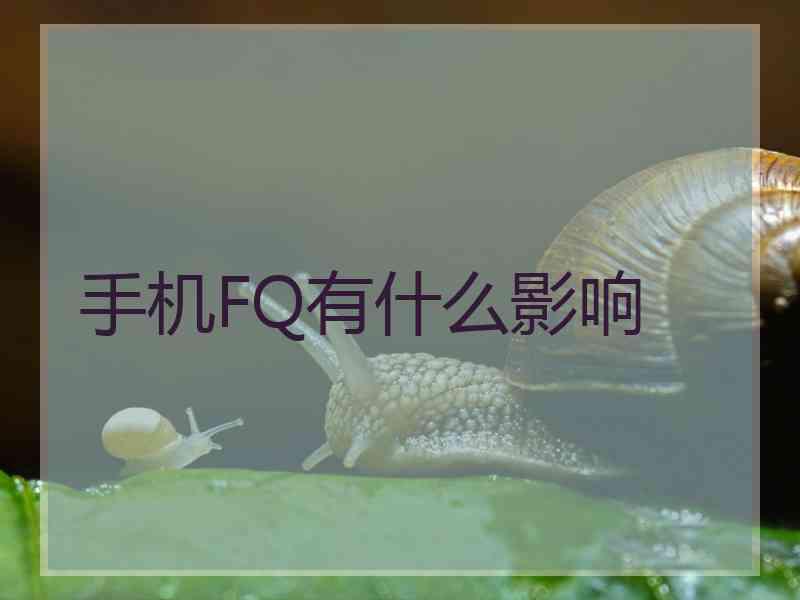 手机FQ有什么影响
