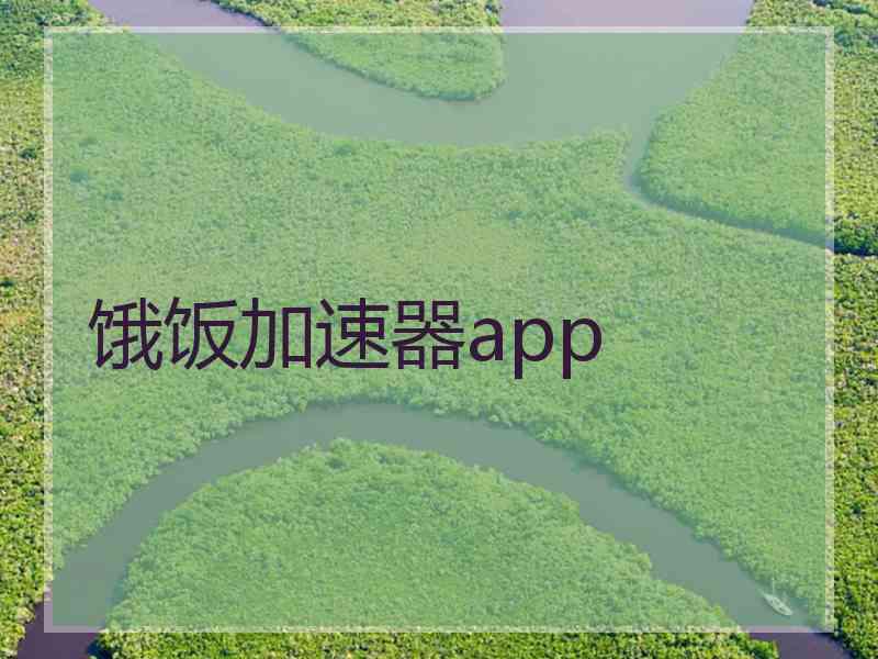 饿饭加速器app
