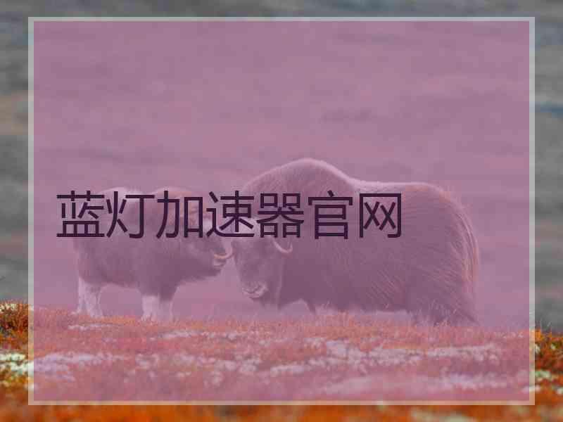 蓝灯加速器官网