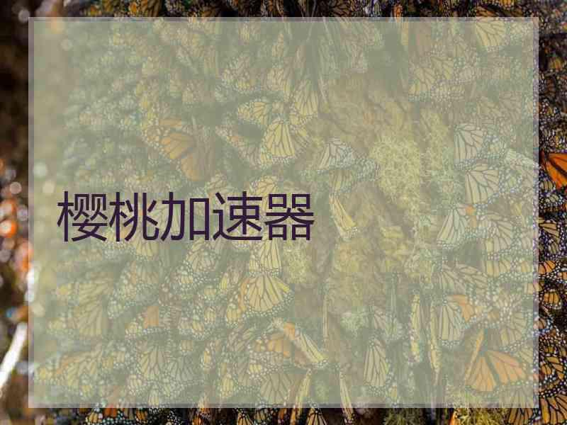 樱桃加速器