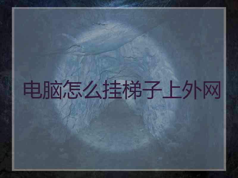 电脑怎么挂梯子上外网