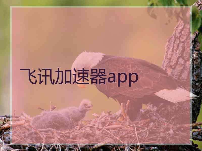 飞讯加速器app