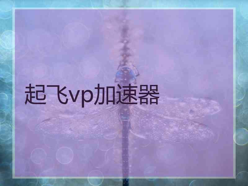 起飞vp加速器