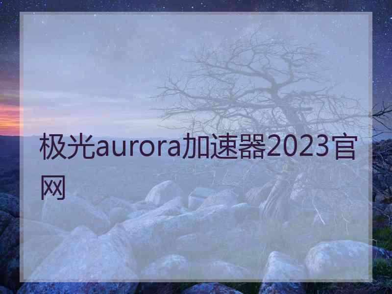 极光aurora加速器2023官网