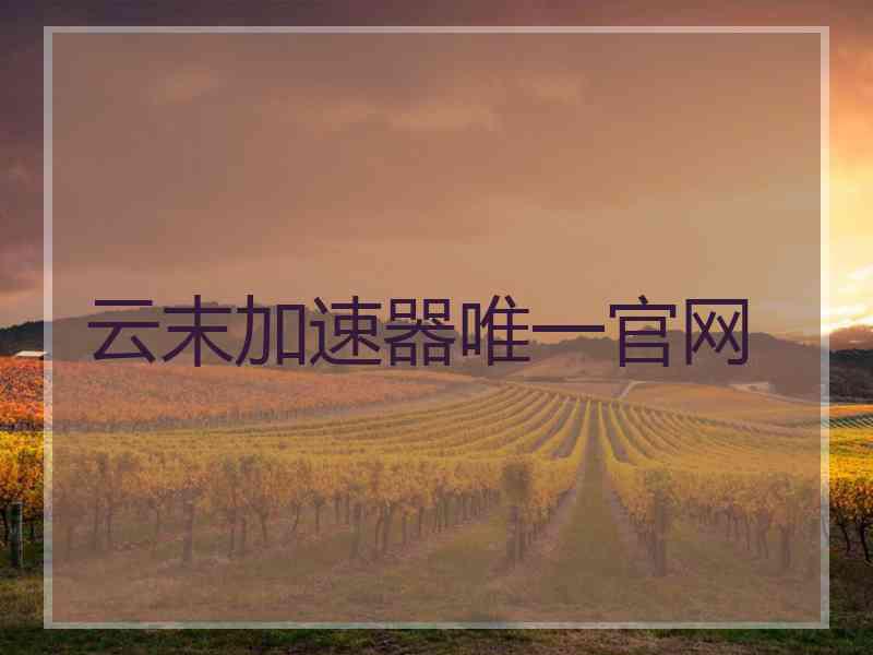 云末加速器唯一官网