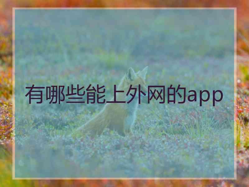 有哪些能上外网的app