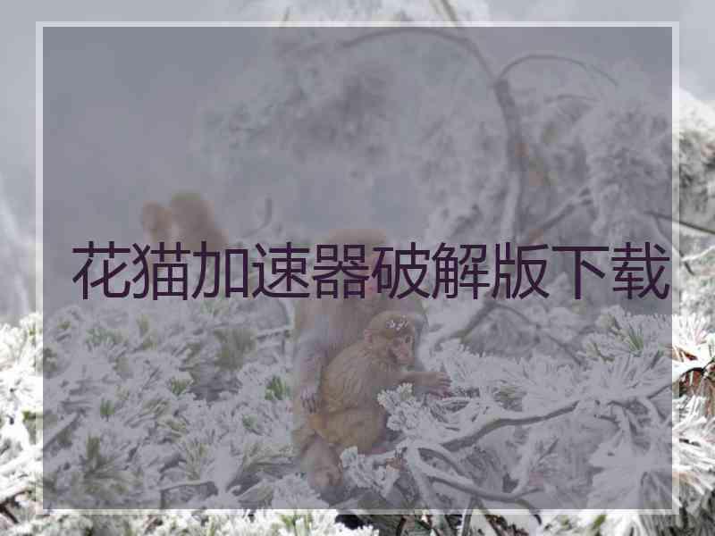 花猫加速器破解版下载