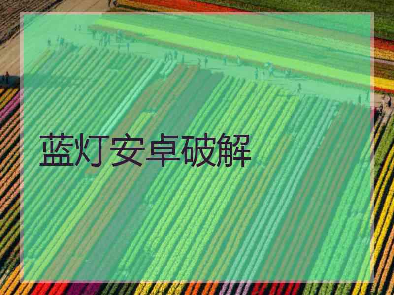 蓝灯安卓破解