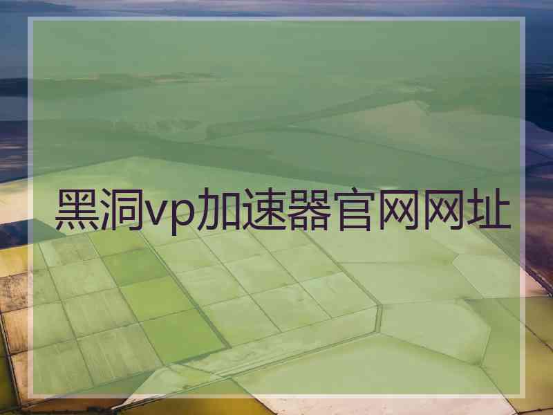 黑洞vp加速器官网网址
