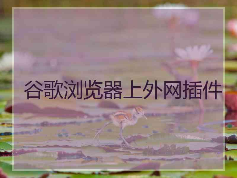 谷歌浏览器上外网插件