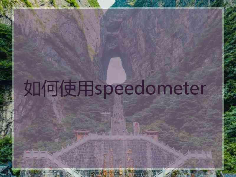 如何使用speedometer