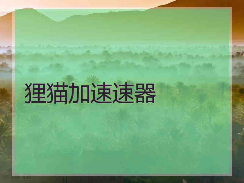 狸猫加速速器