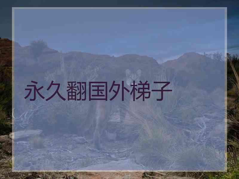 永久翻国外梯子