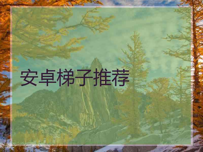 安卓梯子推荐