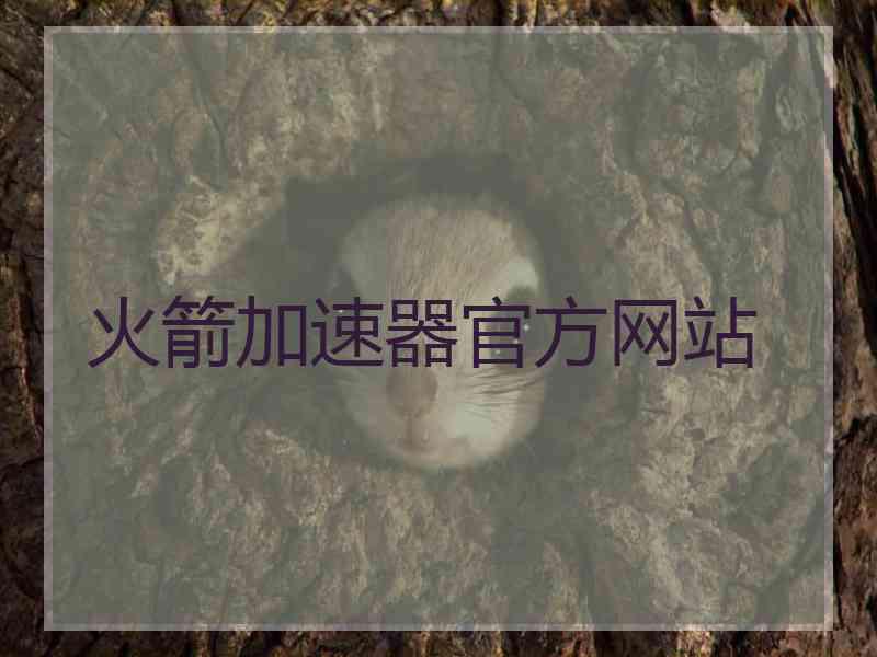 火箭加速器官方网站
