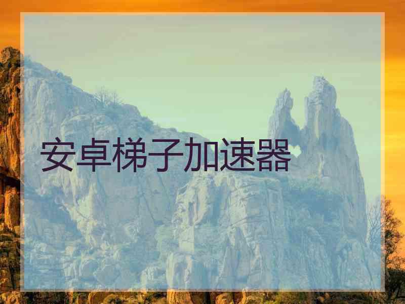 安卓梯子加速器