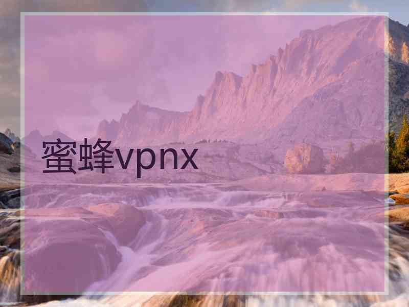 蜜蜂vpnx