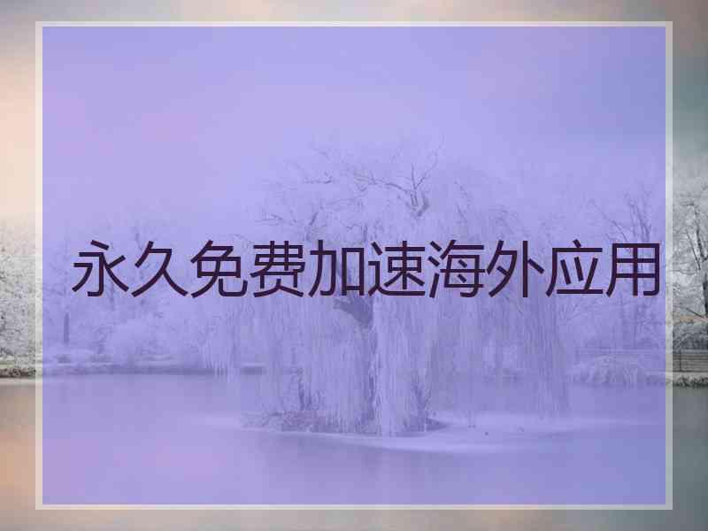 永久免费加速海外应用