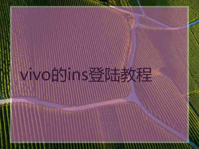 vivo的ins登陆教程